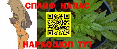 сатива Дмитров