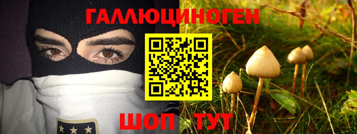 Псилоцибиновые грибы MAGIC MUSHROOMS  Вход с VPN  цена наркотик  Галлюциногенные грибы Psilocybe  Гатчина 